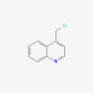 molecular formula C10H8ClN B1601157 4-(Chloromethyl)quinoline CAS No. 5632-17-7