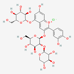 molecular formula C32H39ClO20 B1601834 3-O-三叶草苷-5-O-葡萄糖基花青素 CAS No. 53925-33-0