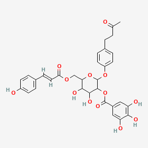 molecular formula C32H32O13 B1602101 4-(4-Hydroxyphenyl)-2-butanone O-[2-galloyl-6-p-coumaroylglucoside] CAS No. 105274-16-6