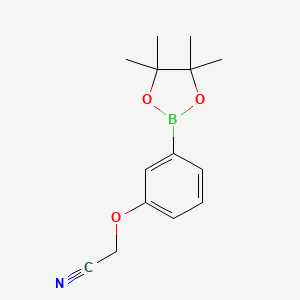 molecular formula C14H18BNO3 B1602328 2-(3-(4,4,5,5-Tetramethyl-1,3,2-dioxaborolan-2-yl)phenoxy)acetonitrile CAS No. 936250-18-9