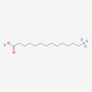 molecular formula C14H28O2 B1602346 Ácido tetradecanoico-14,14,14-d3 CAS No. 62217-71-4