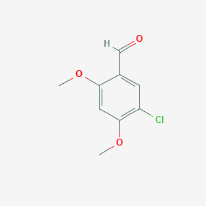 molecular formula C9H9ClO3 B1602416 5-氯-2,4-二甲氧基苯甲醛 CAS No. 912771-34-7