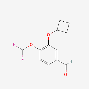 molecular formula C12H12F2O3 B1602418 3-Cyclobutoxy-4-difluoromethoxy-benzaldehyde CAS No. 290307-39-0