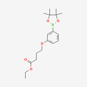 molecular formula C18H27BO5 B1602423 4-(3-(4,4,5,5-四甲基-1,3,2-二氧杂硼环-2-基)苯氧基)丁酸乙酯 CAS No. 850411-09-5