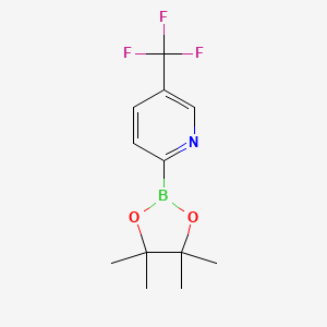 molecular formula C12H15BF3NO2 B1602464 2-(4,4,5,5-Tetramethyl-1,3,2-dioxaborolan-2-YL)-5-(trifluoromethyl)pyridine CAS No. 1101205-23-5