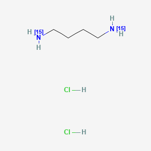 molecular formula C4H14Cl2N2 B1602488 1,4-Diaminobutane-15N2 dihydrochloride CAS No. 2747-92-4