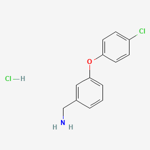 molecular formula C13H13Cl2NO B1602584 [3-(4-Chlorophenoxy)Phenyl]Methylamine Hydrochloride CAS No. 1171023-50-9