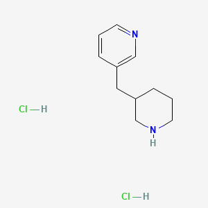 molecular formula C11H18Cl2N2 B1602639 3-(哌啶-3-基甲基)吡啶二盐酸盐 CAS No. 1185013-65-3