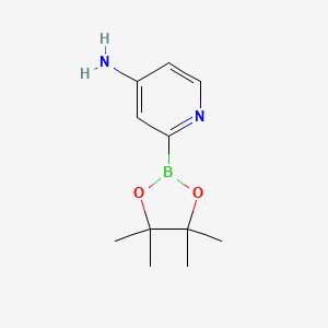 molecular formula C11H17BN2O2 B1602642 2-(4,4,5,5-Tetramethyl-1,3,2-dioxaborolan-2-yl)pyridin-4-amine CAS No. 1061750-57-9