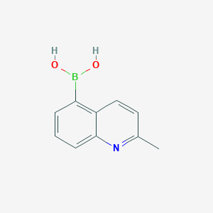 molecular formula C10H10BNO2 B1602650 (2-甲基喹啉-5-基)硼酸 CAS No. 628692-16-0