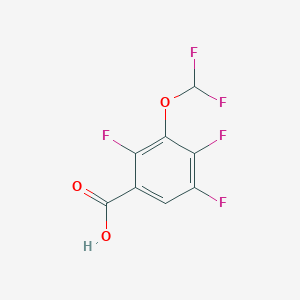 molecular formula C8H3F5O3 B160305 3-(二氟甲氧基)-2,4,5-三氟苯甲酸 CAS No. 128426-86-8
