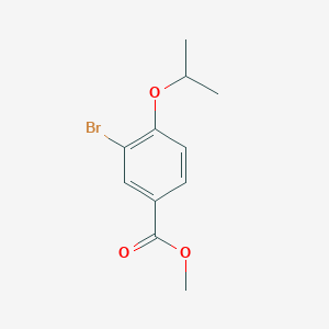 molecular formula C11H13BrO3 B1603576 3-溴-4-异丙氧基苯甲酸甲酯 CAS No. 213598-10-8