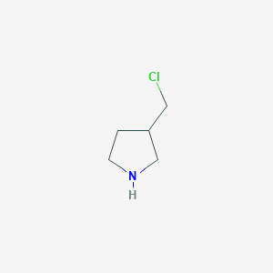 molecular formula C5H10ClN B1603578 3-(氯甲基)吡咯烷 CAS No. 876509-14-7