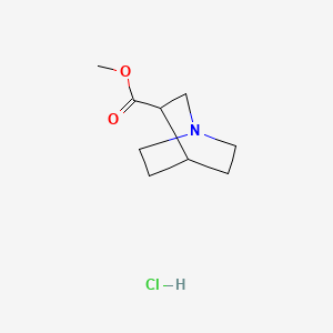 molecular formula C9H16ClNO2 B1604260 奎尼丁-3-羧酸甲酯盐酸盐 CAS No. 54954-73-3