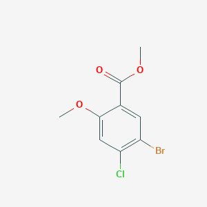 molecular formula C9H8BrClO3 B1604443 5-溴-4-氯-2-甲氧基苯甲酸甲酯 CAS No. 951885-11-3