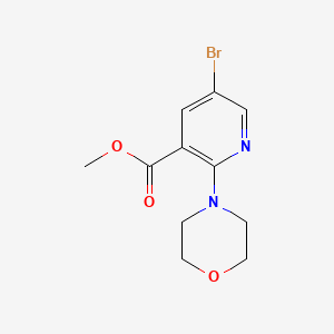 molecular formula C11H13BrN2O3 B1604654 Methyl 5-bromo-2-morpholinonicotinate CAS No. 1017782-99-8