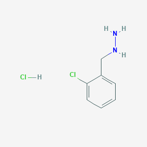 molecular formula C7H10Cl2N2 B1604655 (2-Chlorobenzyl)hydrazine hydrochloride CAS No. 91809-14-2