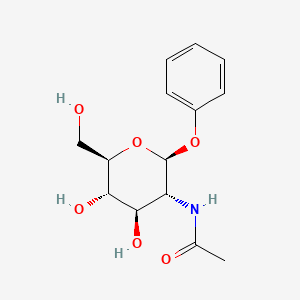 B1605052 Phenyl 2-acetamido-2-deoxy-beta-D-glucopyranoside CAS No. 5574-80-1