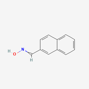 molecular formula C11H9NO B1605156 2-萘甲醛，肟 CAS No. 24091-02-9