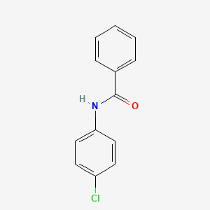 B1605350 N-(4-Chlorophenyl)benzamide CAS No. 2866-82-2