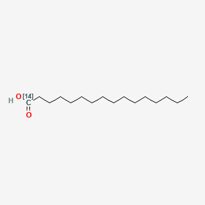 molecular formula C16H32O2 B1605495 Hexadecanoic-1-14C acid CAS No. 765-07-1