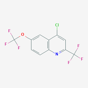 molecular formula C11H4ClF6NO B1605954 4-Chloro-6-(trifluoromethoxy)-2-(trifluoromethyl)quinoline CAS No. 503148-24-1