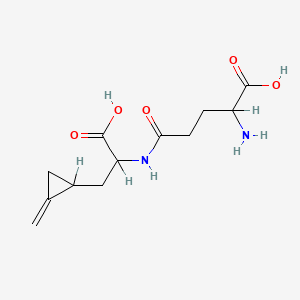 molecular formula C12H18N2O5 B1606432 次甘氨酸 B CAS No. 502-37-4