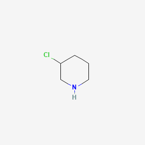 molecular formula C5H10ClN B1606579 3-Chloropiperidine CAS No. 50564-59-5