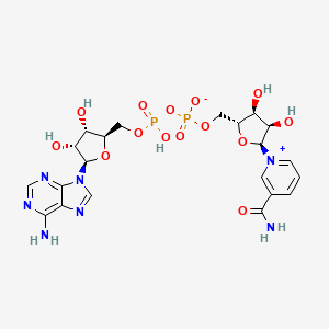 B1606752 alpha-Diphosphopyridine nucleotide CAS No. 7298-93-3