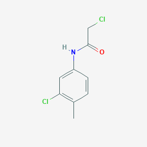 molecular formula C9H9Cl2NO B1606956 2-chloro-N-(3-chloro-4-methylphenyl)acetamide CAS No. 99585-97-4