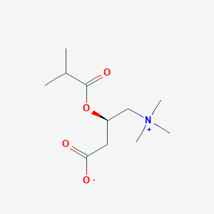 B160777 Isobutyryl-L-carnitine CAS No. 25518-49-4