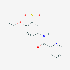 molecular formula C14H13ClN2O4S B1608006 2-Ethoxy-5-(picolinamido)benzene-1-sulfonyl chloride CAS No. 680618-08-0