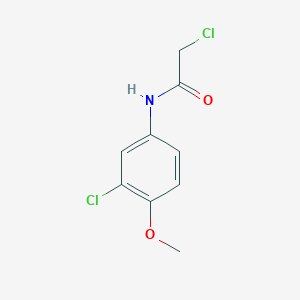 molecular formula C9H9Cl2NO2 B1608100 2-chloro-N-(3-chloro-4-methoxyphenyl)acetamide CAS No. 7072-94-8