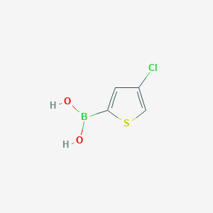 molecular formula C4H4BClO2S B1608654 4-氯噻吩-2-硼酸 CAS No. 1133931-02-8