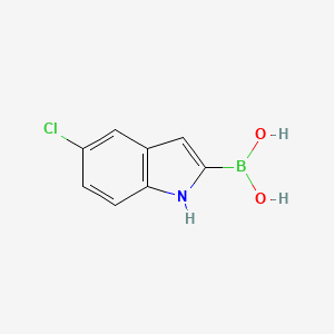 molecular formula C8H7BClNO2 B1608845 5-氯-1H-吲哚-2-硼酸 CAS No. 282528-62-5