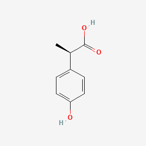 molecular formula C9H10O3 B1609161 (2R)-2-(4-hydroxyphenyl)propanoic acid CAS No. 59092-88-5