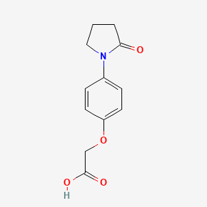 molecular formula C12H13NO4 B1609574 Acide 2-[4-(2-oxopyrrolidin-1-yl)phénoxy]acétique CAS No. 871673-06-2