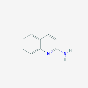 molecular formula C9H8N2 B160992 2-氨基喹啉 CAS No. 580-22-3