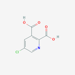 molecular formula C7H4ClNO4 B1609988 5-氯吡啶-2,3-二羧酸 CAS No. 53636-66-1