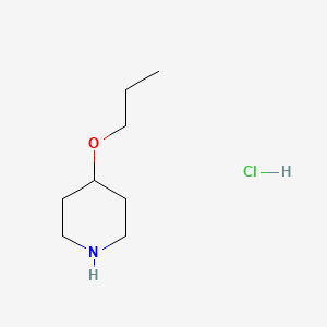 molecular formula C8H18ClNO B1610008 4-丙氧基哌啶盐酸盐 CAS No. 903891-77-0