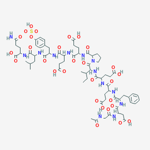 molecular formula C68H95N13O29S B161150 N-Acetylglycyl-alpha-aspartylphenylalanyl-alpha-glutamyl-alpha-glutamylisoleucylprolyl-alpha-glutamyl-alpha-glutamyl-O-sulfotyrosylleucylglutamine CAS No. 125441-00-1
