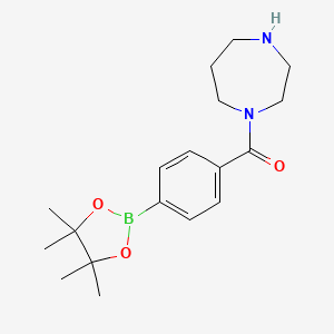 molecular formula C18H27BN2O3 B1611849 [1,4]Diazepan-1-YL-[4-(4,4,5,5-tetramethyl-[1,3,2]dioxaborolan-2-YL)-phenyl]-methanone CAS No. 850411-05-1