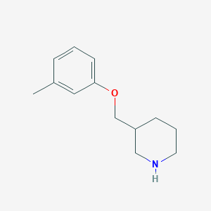 molecular formula C13H19NO B1611962 3-[(3-Methylphenoxy)methyl]piperidine CAS No. 693764-34-0