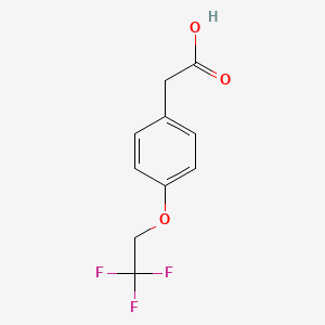 molecular formula C10H9F3O3 B1612154 [4-(2,2,2-Trifluoroethoxy)phenyl]acetic acid CAS No. 170361-35-0