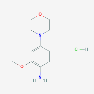molecular formula C11H17ClN2O2 B1612178 2-甲氧基-4-(4-吗啉基)苯胺盐酸盐 CAS No. 6950-91-0
