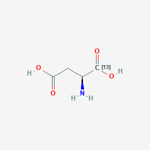 molecular formula C4H7NO4 B1612440 L-天冬氨酸-1-13C CAS No. 81201-97-0