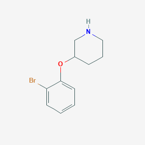 molecular formula C11H14BrNO B1612541 3-(2-溴苯氧基)哌啶 CAS No. 954223-02-0