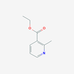 molecular formula C9H11NO2 B161284 2-甲基烟酸乙酯 CAS No. 1721-26-2