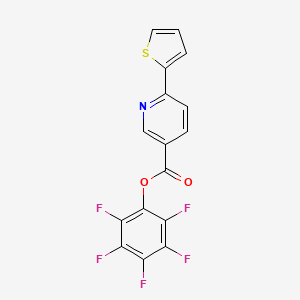 molecular formula C16H6F5NO2S B1613211 Pentafluorophenyl 2-thien-2-ylpyridine-5-carboxylate CAS No. 926921-59-7