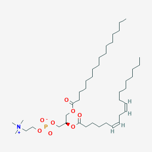 B161346 1-hexadecanoyl-2-(6Z,9Z-octadecadienoyl)-sn-glycero-3-phosphocholine CAS No. 130614-06-1